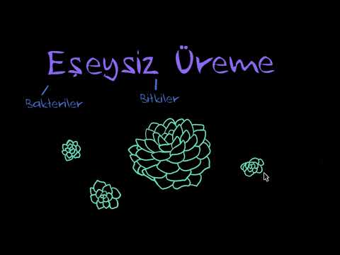 Video: Üreme engellerinin türleri nelerdir?