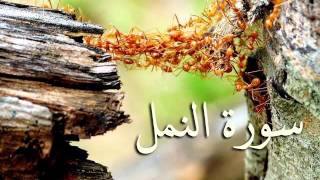 سورة النمل والقصص والعنكبوت والروم .. الصوت النّديّ  سعد الغامدي HQ