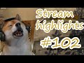 Stream Highlights #102