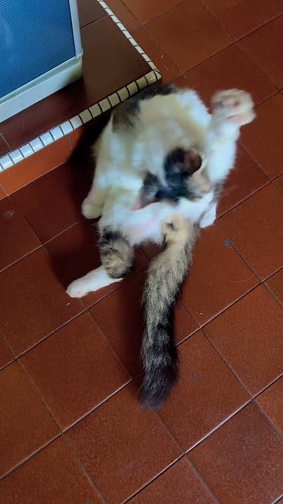 Pretty sexy boy 😝