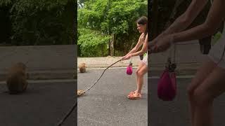 Playful Monkey Plays Tug-of-War With Woman Over Stick