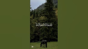 ارح سمعك | #قرآن #istagfar #تلاوة_خاشعة #yasseraldossary #quran #راحة_نفسية #تلاوة_هادئة #اذكار #آية