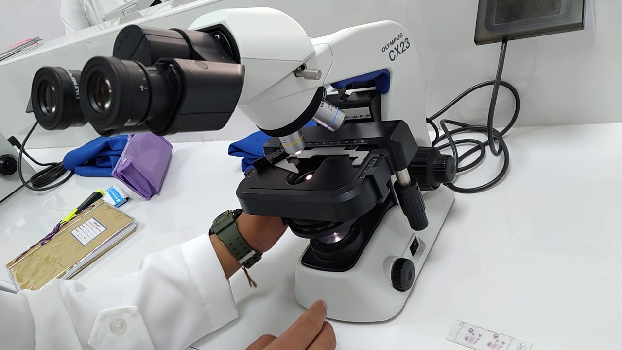 Manejo del microscopio 🔬🔬 YouTube