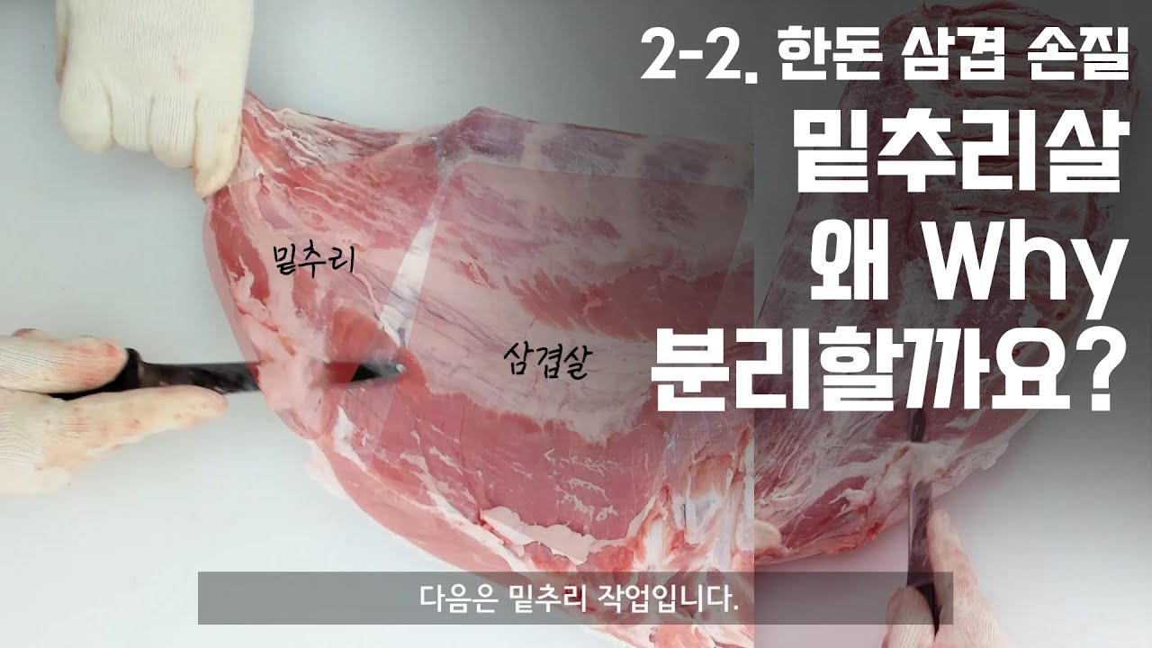 정육 / 돼지발골 02-2 한돈 돼지 삼겹살 발골후 손질 작업!🐷밑추리? 삼겹살? 뭐가 다를까요?🐖돼지 정육 발골 기초