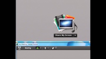 Adobe Connect Meetings (Host & Participant views together)