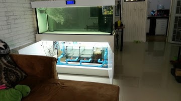 June ปทุม - งานแก้ไขตู้กรองล่างพร้อมระบบ Overflow