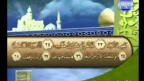 سورة عبس الشيخ محمد عبدالكريم