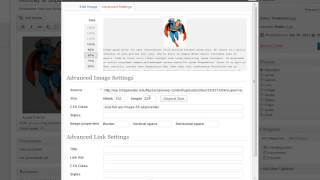 WordPress: Adding Media Net Worth