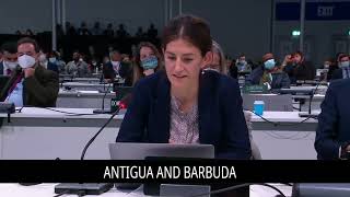Cma3 Aosis Closing Statement On Glasgow Dialogue At Cop26