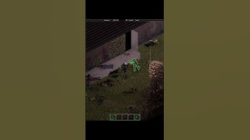 Average Project Zomboid Experience