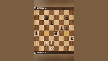 I DEFEATED chess.com bot WereMartin with just two bishops #chess #chessgame