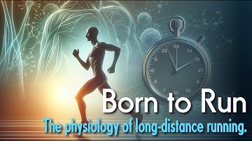 De fysiologie van langer en sneller hardlopen: VO2max, lactaatdrempel en loopeconomie