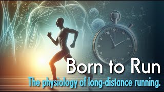 The Physiology of Running Faster for Longer: VO2max, Lactate Threshold & Running Economy