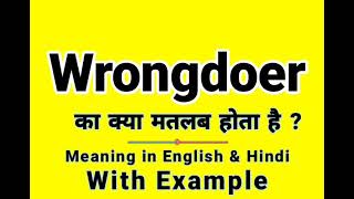 Wrongdoer Meaning In Hindi Wrongdoer Ka Kya Matlab Hota Hai Daily Use English Sentences