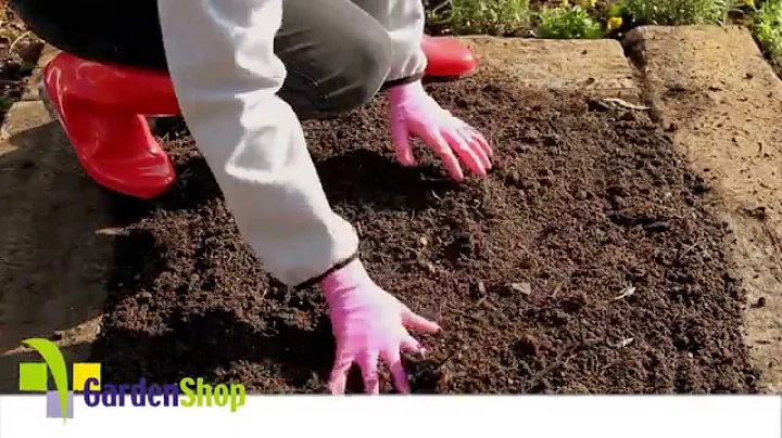 How to prepare soil for planting - DayDayNews
