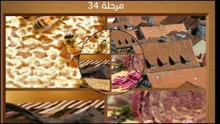 كلمات متقاطعة و صور المجموعة الرابعة مرحلة34