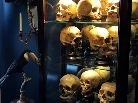 Vidéo: Musées des bizarreries médicales, de la taxidermie et de l'anatomie