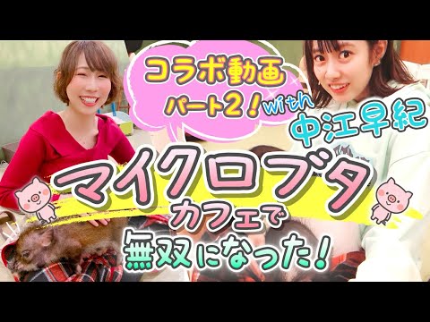 【コラボ動画】可愛いの暴力マイクロブタ🐖カフェいってみたWith中江早紀