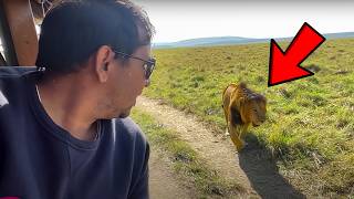 Encounter with CHEETAH inside Africa Jungle | EP 387 Jungle Safari Africa - Wildlife Travel Vlog