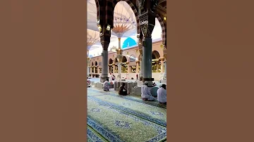 بحبك وبريدك وأتمنى أبوس إيدك 