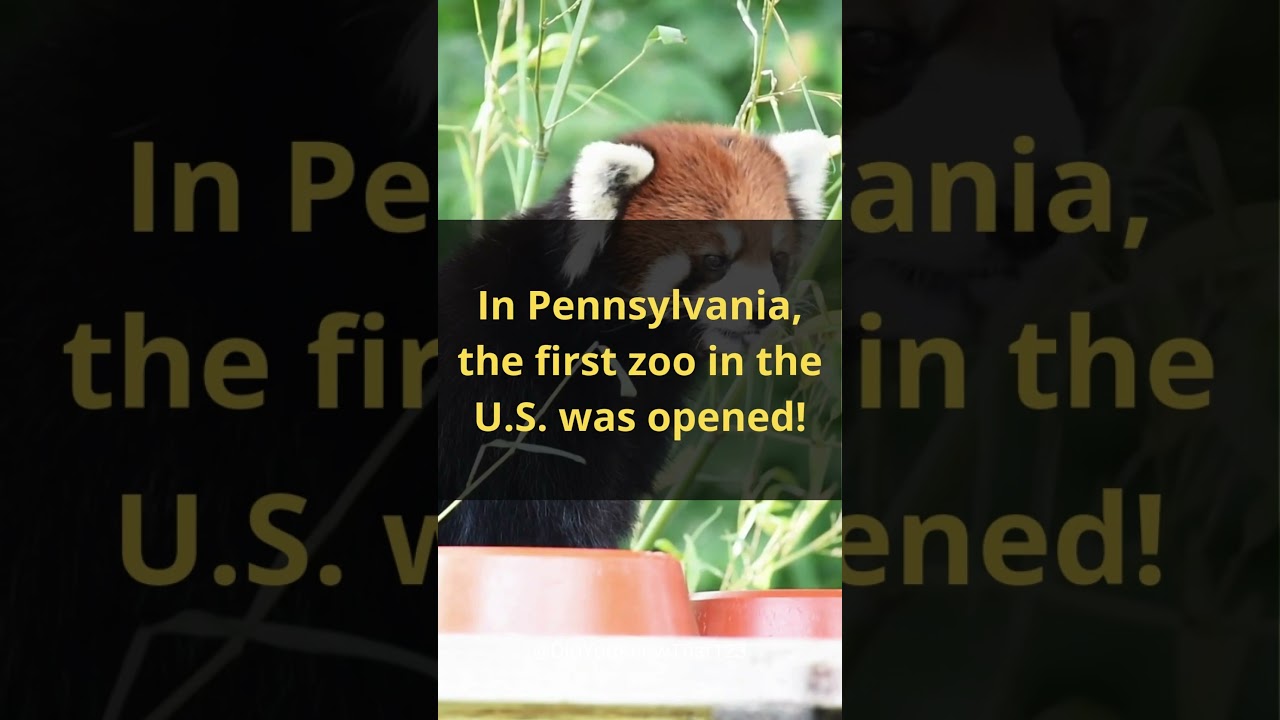Did You Know? The First Zoo in the U.S. Was Opened in Pennsylvania! 🐾