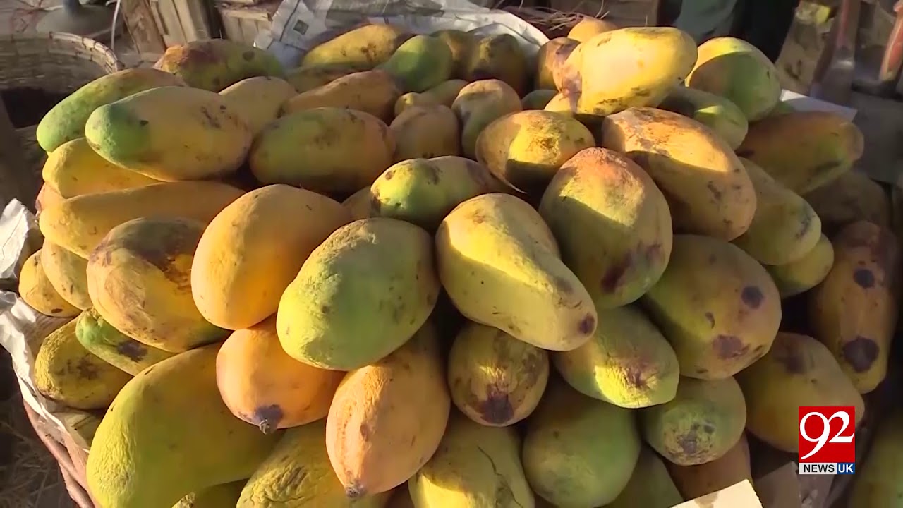Pakistan will get hundred million by exporting Mangoes to Japan 17