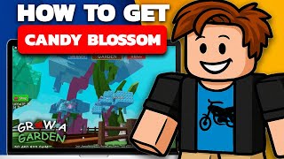 How To Get Candy Blossom In Grow A Garden (Roblox) screenshot 2
