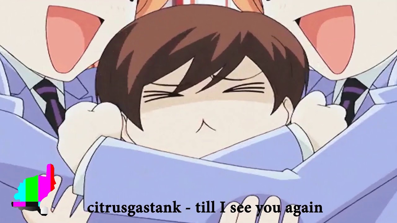 citrusgastank - till I see you again - lofi hip hop