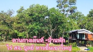 ลานกางเต็นท์-บ้านพัก ไร่ สจ. บูลย์ ปราจีนบุรี