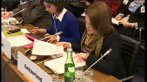 #Internet2013: Plenary Session - Statements from the OSCE Delegations