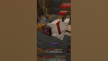 Your beloved PETS need this utility mod! #minecraftjava