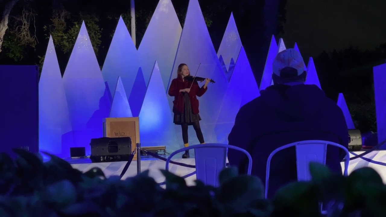 SeaWorld San Diego Electric Violin Show