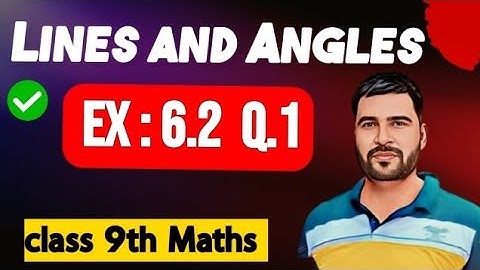 In Fig. 6.23, if AB || CD, CD || EF and y : z = 3 : 7, find x | Lines and Angles ex 6.2 Q 1.
