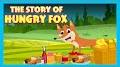 Video for Hungry Fox