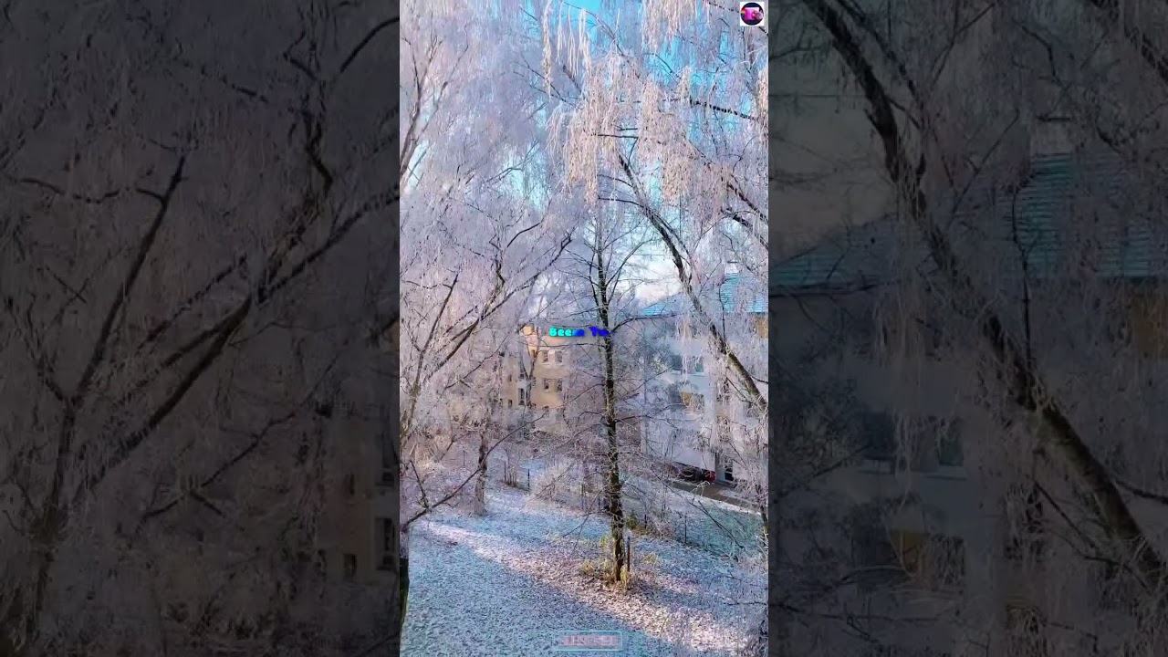 Snow And Sunshine In Winter Frankfurt Germany 🇩🇪 