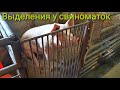 Что с этим делать! Лечение! Белые выделения у свиноматок!