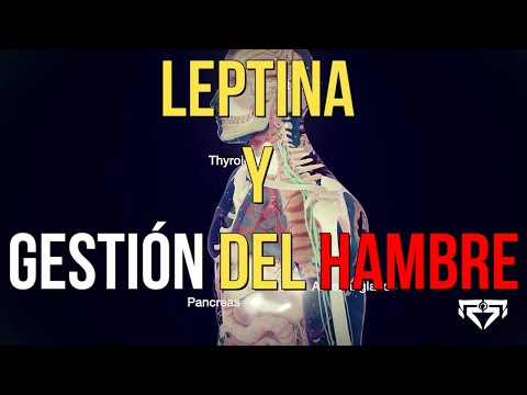 Vídeo: 3 maneres de tractar la resistència a la leptina