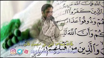 القارئ الحاج قاسم مقدمي ماتيسر من سورة القصص