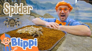 blippi visits the zoo learning animals for kids educational videos for children