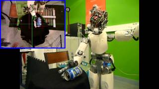 Perception and human interaction for developmental learning of objects and affordances