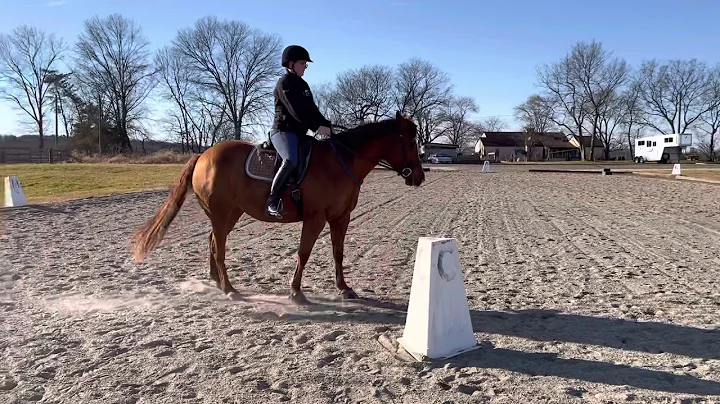 Jessica Masterson and Lucy Intro dressage Kindful ...