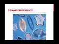 Protists and Their Diversity