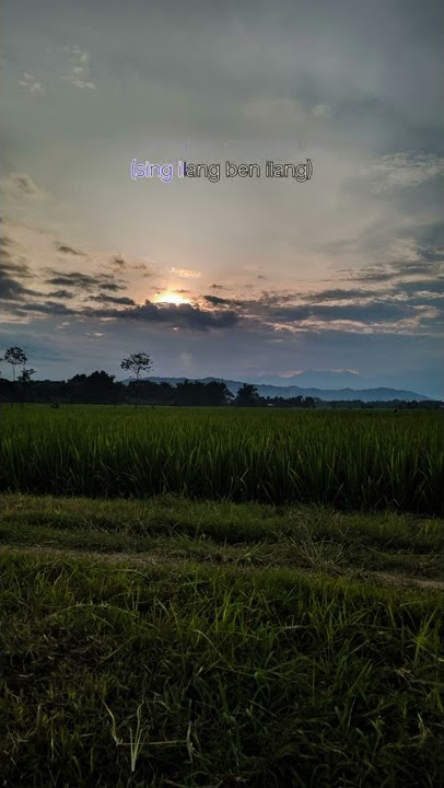 Story wa mix pingal x ojo nangis