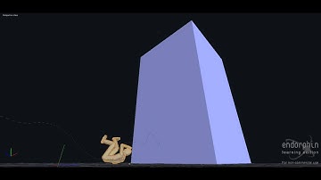 [Endorphin] Jump and Roll