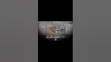 الشيخ محمد أيوب | سورة النساء #المصحف #quran #القرآن_الكريم #محمد_ايوب #سورة_النساء #قرآن