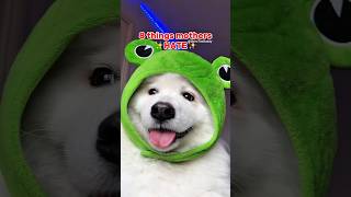 8 Things Mothers Hate 😨 ib:vinzievlogs #dogshorts #funny #samoyed #pets #dog #relatable #cute #mom