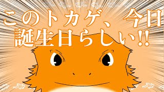 【#雑談】今日爆誕したんだって