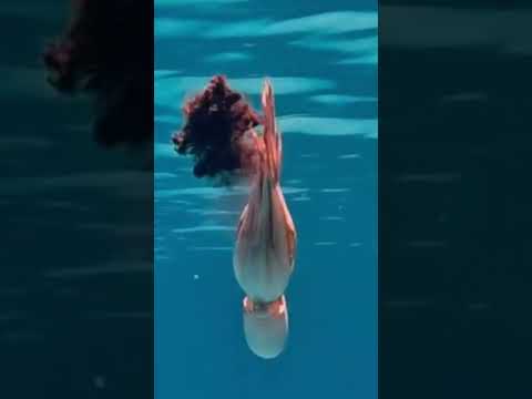 لحظة خروج الحبر من الأخطبوط في عمق البحر سبحان الله