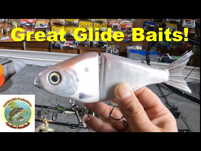 Glide Baits Are Awesome! 