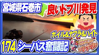 【シーバス奮闘記174】良いドブ川・発見彡ボイル・ナブラ・バイト【バカ川】